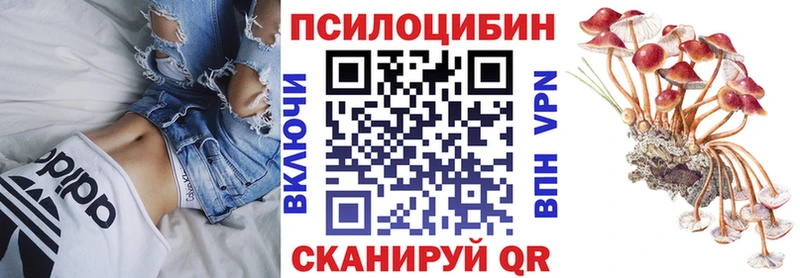 Галлюциногенные грибы мицелий  Купить закладки  Новоульяновск 